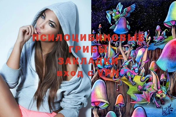 ПСИЛОЦИБИНОВЫЕ ГРИБЫ Абдулино