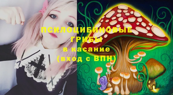 хмурый Алзамай