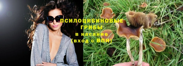 СК Абинск
